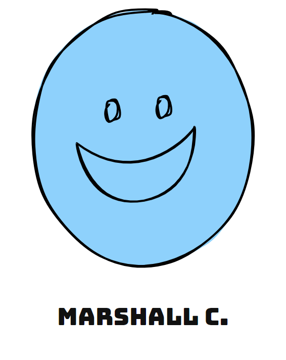 Marshall 500x712